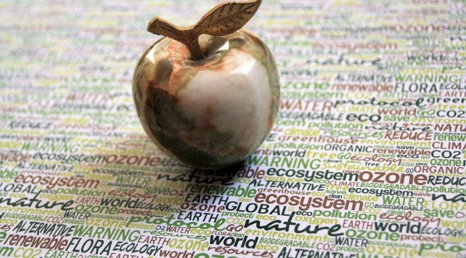 ОБІГ ТА МАРКУВАННЯ ОРГАНІЧНОЇ ПРОДУКЦІЇ